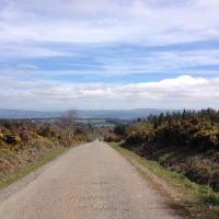 La belleza del Camino (de Santiago) – Elena Wadsworth