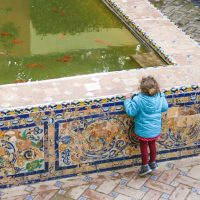 La curiosidad hermosa – Nicole Nordman