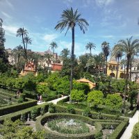 La esplendor – Maliha Ashraf