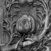 La granada de Granada – Miguel Angel Fernández