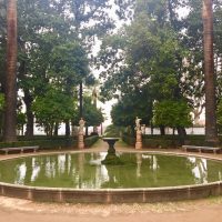 La simetría en el reflejo de la fuente