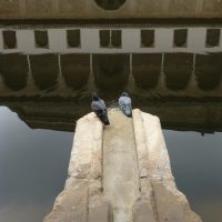 La vida es sueño – Miriam Wieser (Alemania)