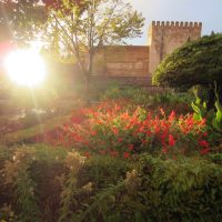 La vida granadina – Kimberlee Turner