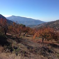 Las Alpujaras en Otoño – Bruna Faria