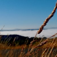 Mar de nubes – Emilio Martínez Cañavate Gallo (España)