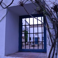 Misterio por la ventana – Estefania Morales