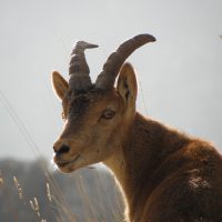 Mírame – África Mariñas del Rio (España)