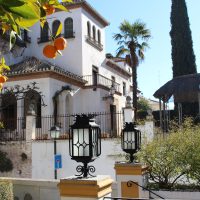 Naranjo – Morgan McGoey