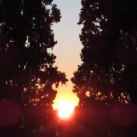 Naturaleza insólita – Yolanda García Barranco