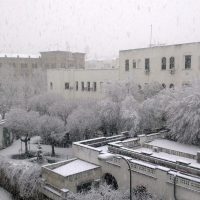 Nevando (día de Andalucía) – Claudia Morales Pérez (España)