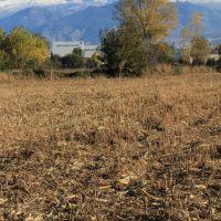 OTOÑO – Philipp Heidan
