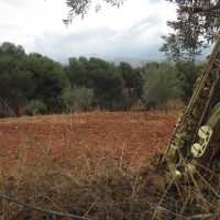 Onda Ecologica – Victor Desplancques