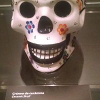 Orgullo de las Tradiciones Mexicanas – Milton Carlos Alvarez Nieto (México)