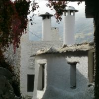 Pampanea – Miriam Wieser (Alemania)