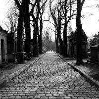 Paris – Patrick Lohmann