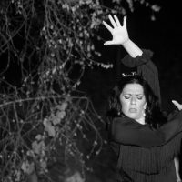 Pasión – Erika Palmieri