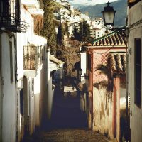 Perdido, pero contento – Samuel Davis