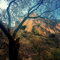 Perfección con una rama rota – Christina Rullo (EEUU)