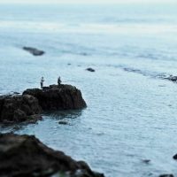 Pescadores – Jose Manuel Sánchez