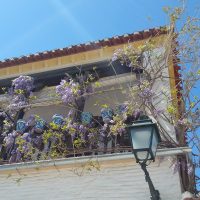 Primavera picturesca – ChristinaTerry