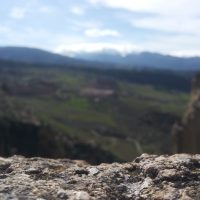Puente ‘Nuevo’ – Giuseppe Libero