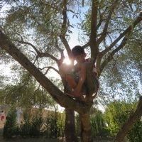 Pura alegria – Alison Peters (EEUU)