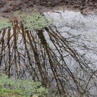 Reflejos – Mª Ángeles López Hinojosa (España)