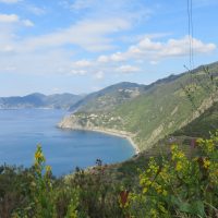 Riomaggiore in Bloom – Alison Peters (EEUU)