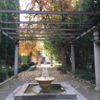 Sabor de Otoño en Granada 01 – Mahmoud Karimi (Irán)