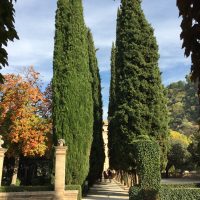 Sabor de Otoño en Granada 02 – Mahmoud Karimi (Irán)