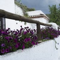 Sacromonte – César Rodríguez Campos