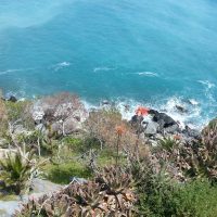 Salta – Emily Elias