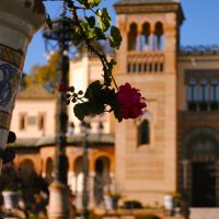Sevilla – Kimberly Buchwald (EEUU)