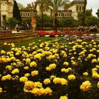 Sevilla tiene un color especial