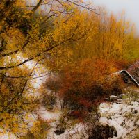 Sierra nevada,otoño e invierno juntos – Miguel Angel Fernández