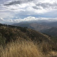 Sin titulo 4 – Lisa Wilkening (EEUU)