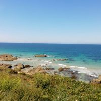 Spring in Portugal – Pedro Manuel Ruiz de Castroviejo Teba