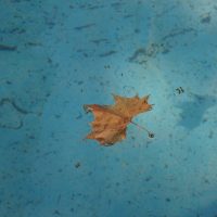Spring is coming – Sara Mallucci