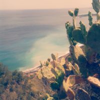 Summer – Theresa Otto