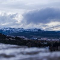 Temprano