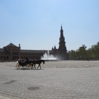 Tranquilidad en la Plaza de España – Meghan Fink