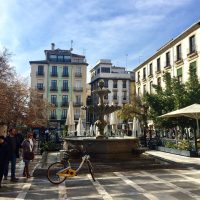 Un día típico en Plaza Nueva