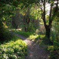 Un paseo por las colinas de Granada – Suzanne Luff (EEUU)