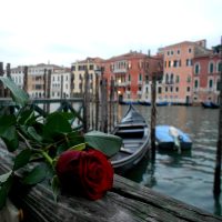 Una rosa en Venecia – Elvira López Lorca (España)