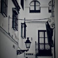 Vida sevillana – Ela Aydin (Alemania)
