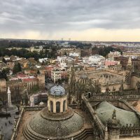 Vistas del torre – Allison Copple (EEUU)