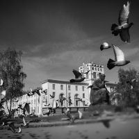 Vuelo – Joaquin Montero Martos (España)