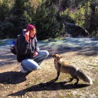 What does the fox say, Qué dice el zorro – Evan Hathaway