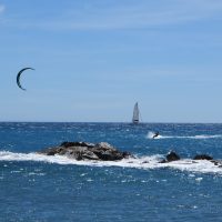 Where the wind blows – Meghan Fink