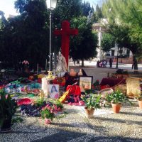 Y después de clase – Cruz de Mayo en el Campo del Príncipe –  Ana Manuela Carrillo Badillo